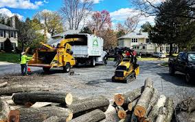 Best Hazardous Tree Removal  in Contra Costa Centre, CA